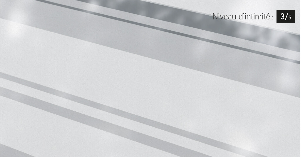 Fenêtre décorative, modèle Azur